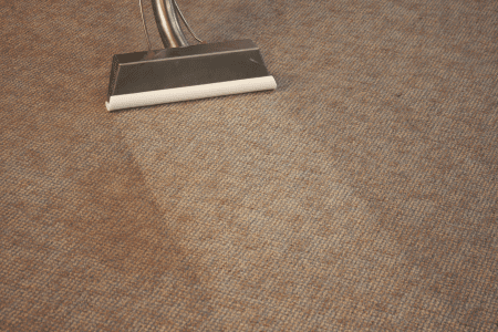 Carpet Care & Spot and Stain Removal